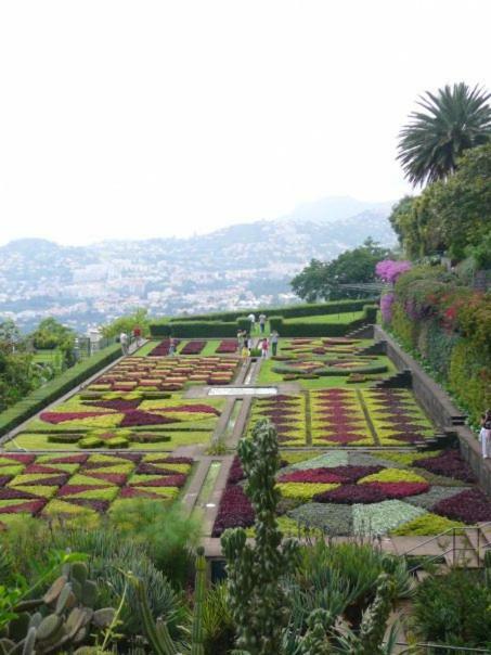 Apartamentos Jardim Funchal  Ngoại thất bức ảnh