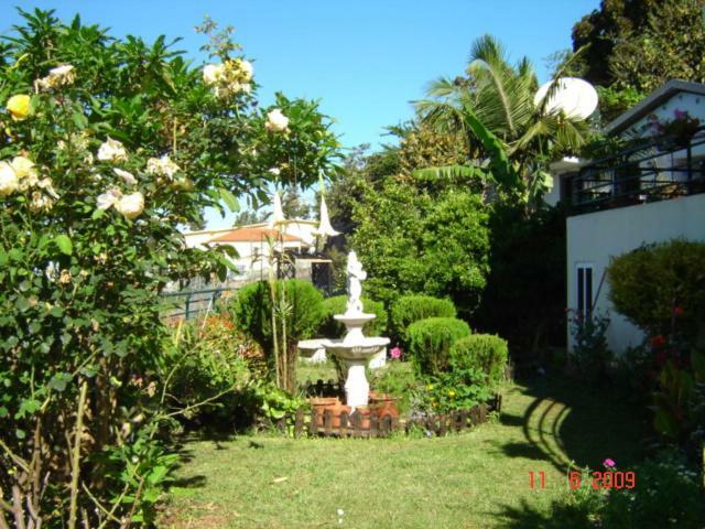 Apartamentos Jardim Funchal  Ngoại thất bức ảnh